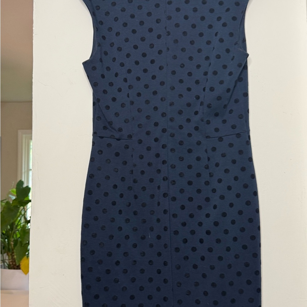 Banana Republic Navy Polka Dot Mini Dress